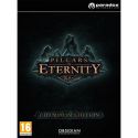 Pillars of Eternity Champion Edition - PC - Steam
