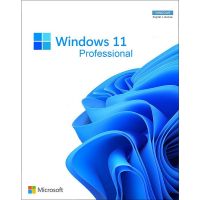 Microsoft Windows 11 Pro CZ 64Bit OEM licence, FQC-10525, druhotná licence